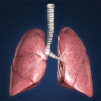 Managing Adverse Events Associated With Targeted Agents for NSCLC