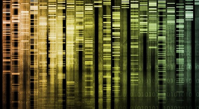 Genetics and Genomics: What Patients and Providers Should Know