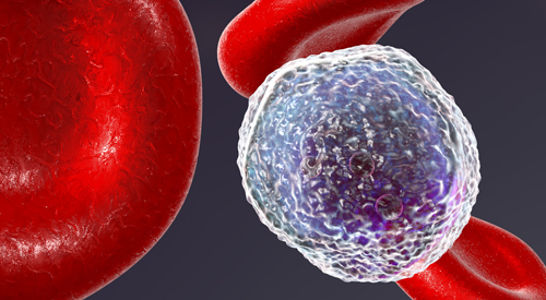 A fast track designation has been granted by the FDA to the novel BTK degrader, NX-5948, for adults with relapsed or refractory chronic lymphocytic leukemia or small lymphocytic lymphoma who were treated with at least two lines of therapy, including a BTK inhibitor and a BCL2 inhibitor.