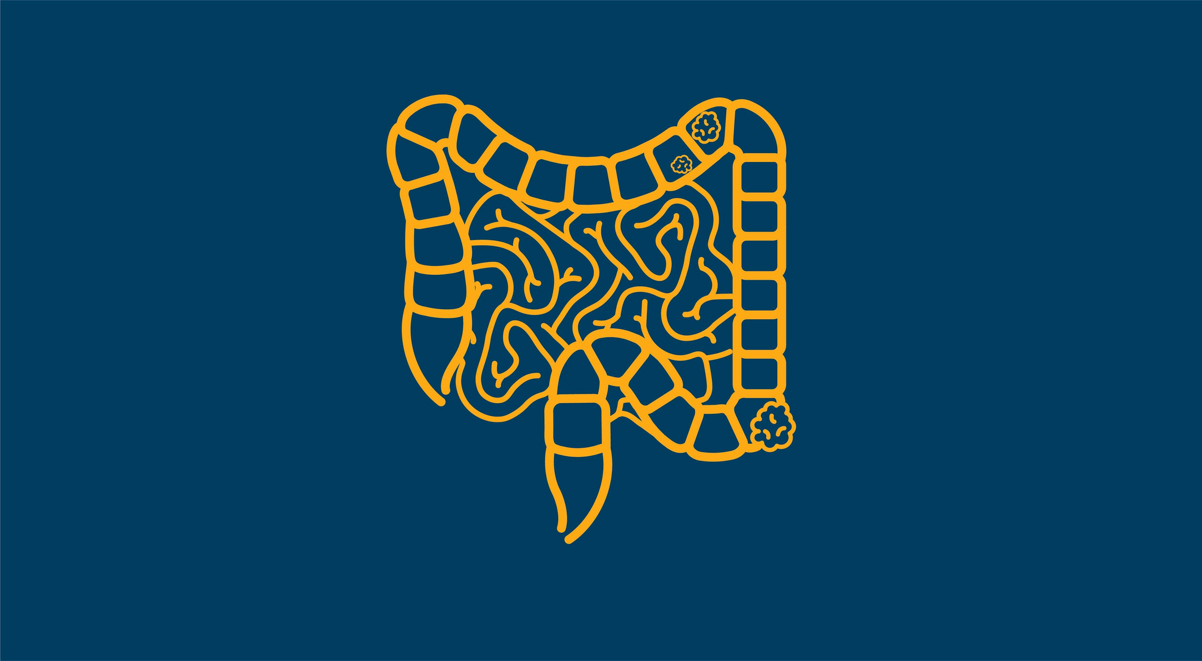 Data from the phase 2 MOUNTAINEER trial showed durable responses with tucatinib plus trastuzumab for patients with previously treated metastatic HER2-positive colorectal cancer.