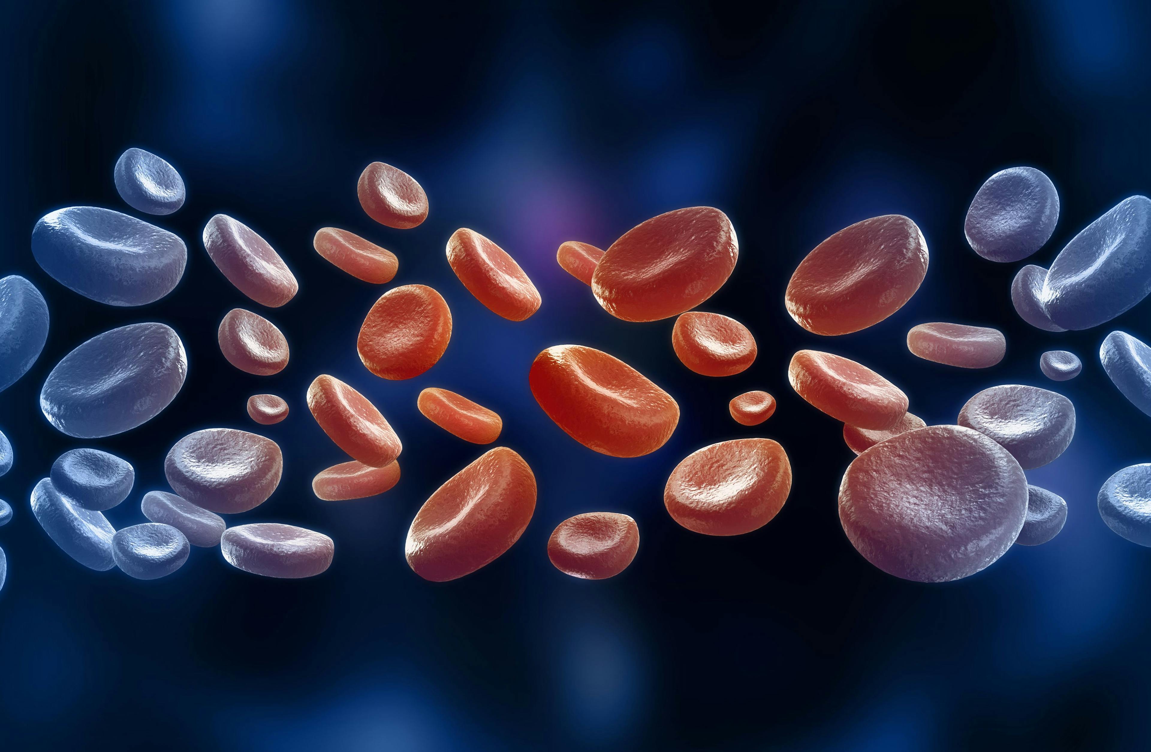 Patients with Blood Cancer and COVID-19 Fare Better with Convalescent Plasma Treatment