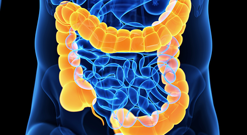 Data from the phase 2 MOUNTAINEER trial showed durable responses with tucatinib plus trastuzumab for patients with previously treated metastatic HER2-positive colorectal cancer.