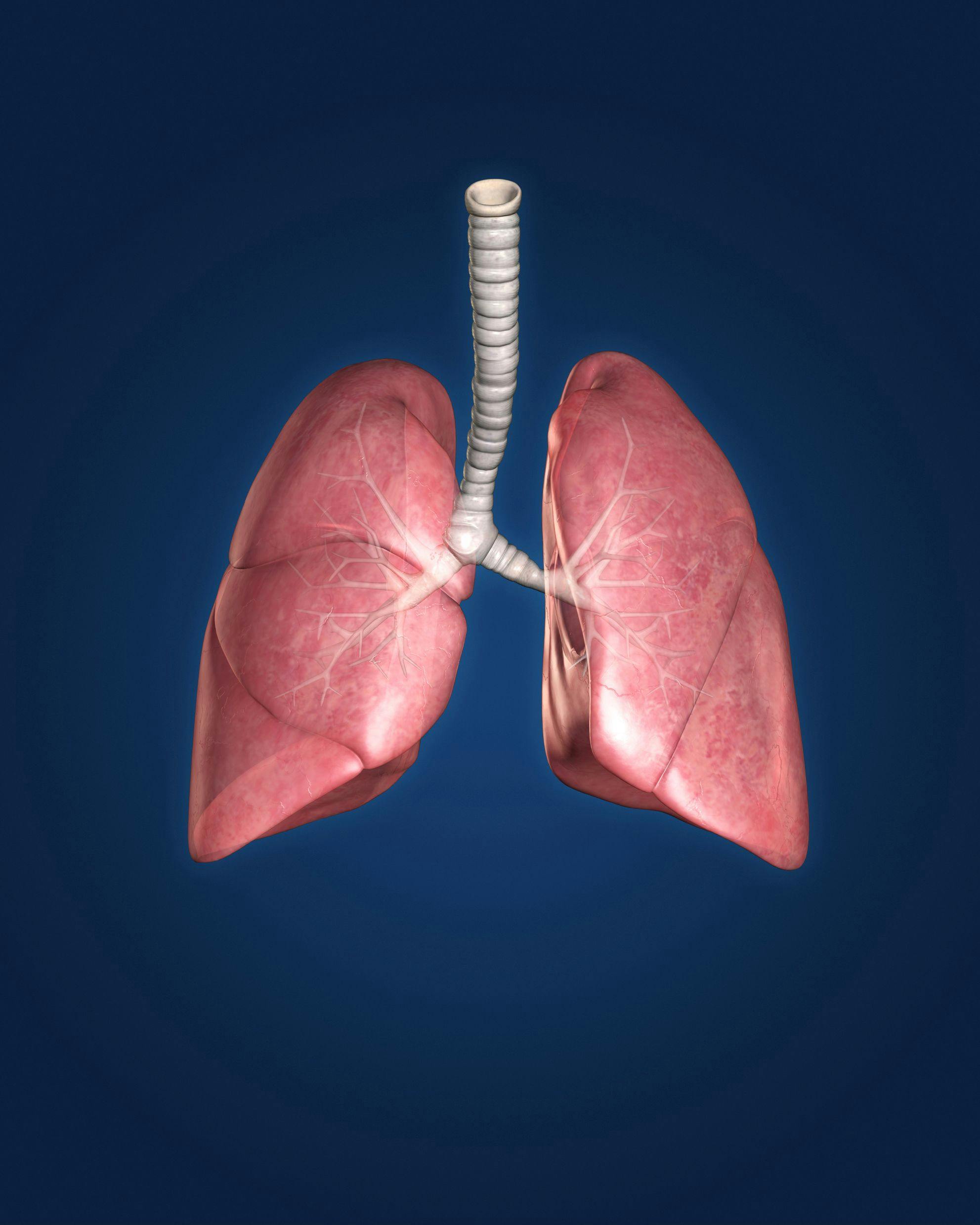 Bispecific Antibodies May Change Lung Cancer Paradigm 