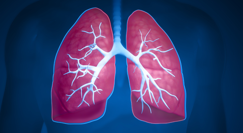 Targeted Therapy Approvals Improve Outcomes, Expand Options for Patients With NSCLC