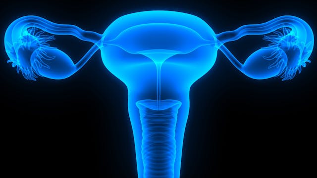 Frontline Maintenance Niraparib May Not Worsen HRQOL in Advanced Ovarian Cancer