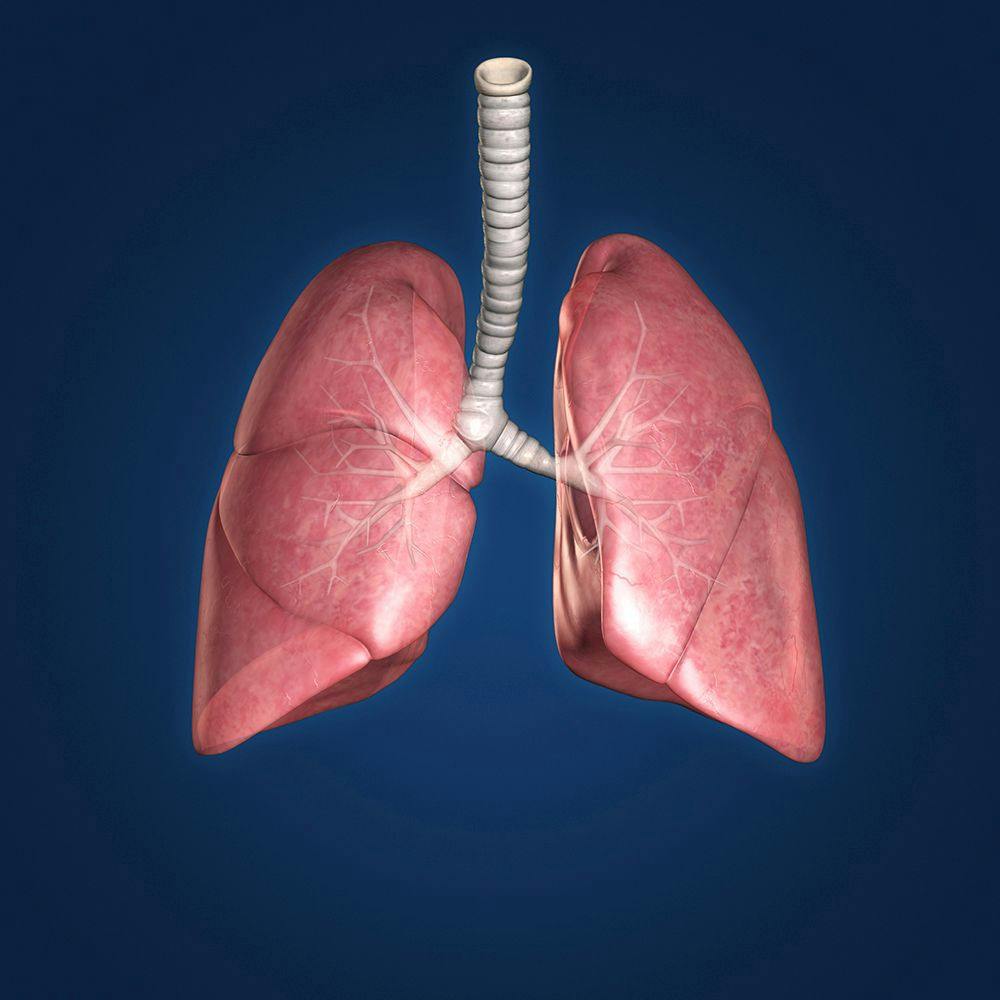 Durvalumab Shows "Clear Improvement" in Lung Cancer Outcomes