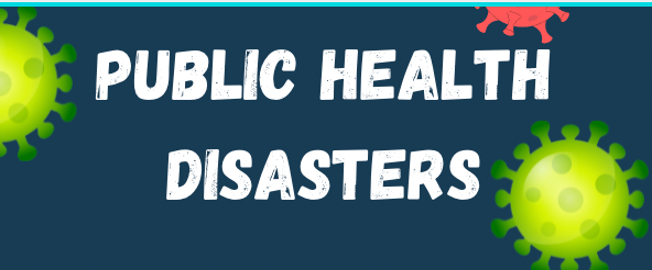 A Step-by-Step Guide for Nurses Facing a Public Health Disaster